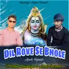 About Dil Rove Se Bhole Song